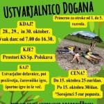 Jesenske počitnice z ustvarjalnico Dogana – prijavi se na nepozabno dogodivšino!