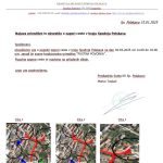 OBVESTILO:Najava prireditve in obvestilo o zapori ceste v kraju Spodnja Polskava – TRADICIONALNA PUSTNA POVORKA DNE 4.3.2025 OD 14:00 DO 18:00 URE