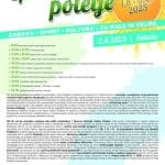 PROGRAM, Spodnjepolskavsko poletje, sobota 2.8.