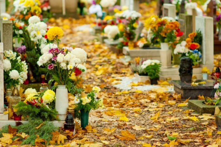 1.november – Dan spomina na mrtve