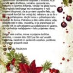 VOŠČILO 2022