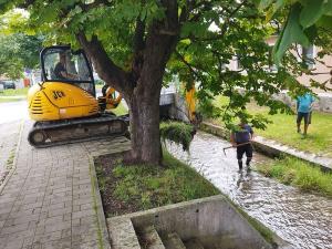 356221516 750975667034696 4679292702611898576 n