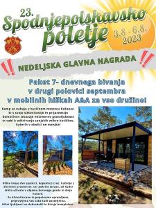 368041239 768807721918157 1581680550250671758 n