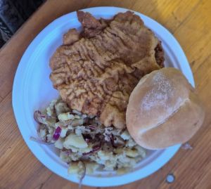 559081967 1248647313963279 2565102473695111689 n