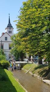 67372329 2261813667250295 7554053042153193472 n-1-440x800