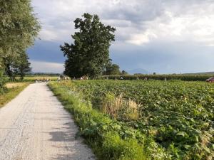 67513178 2274537349311260 3050778397778116608 n-1-768x576