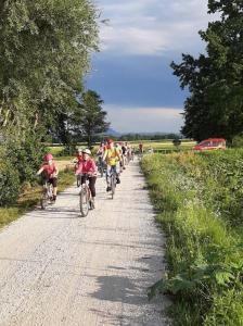 68335653 2274537565977905 2860573705195487232 n-1-597x800