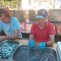 296909595_5241513162613649_7615978395110163030_n